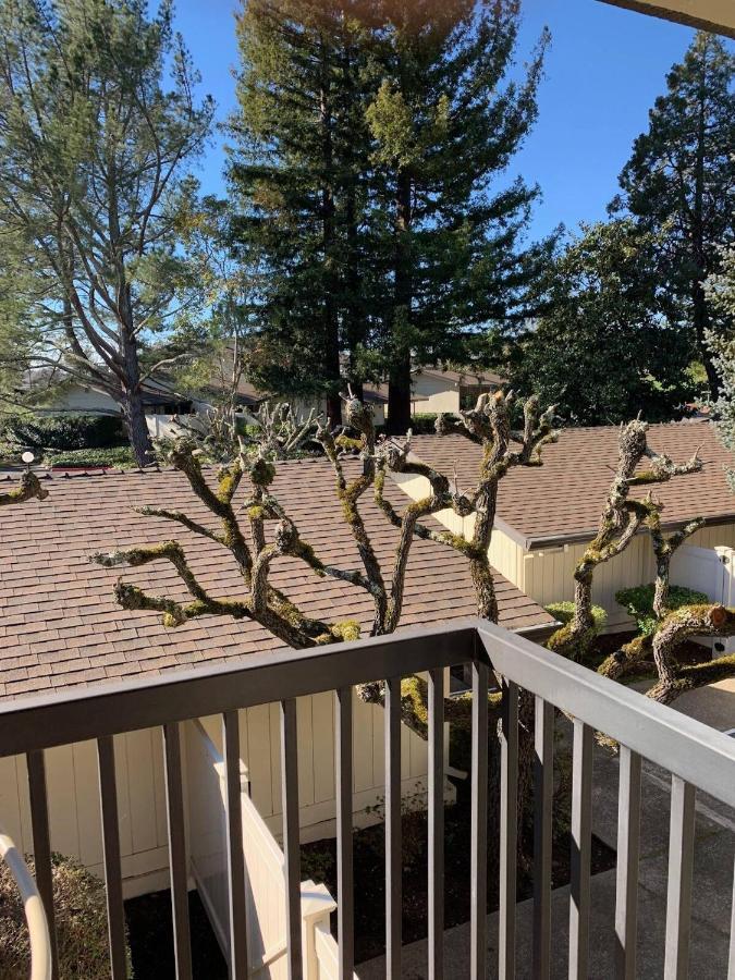 Apartment Floor, 40% Off, Silverado, Netflix Napa