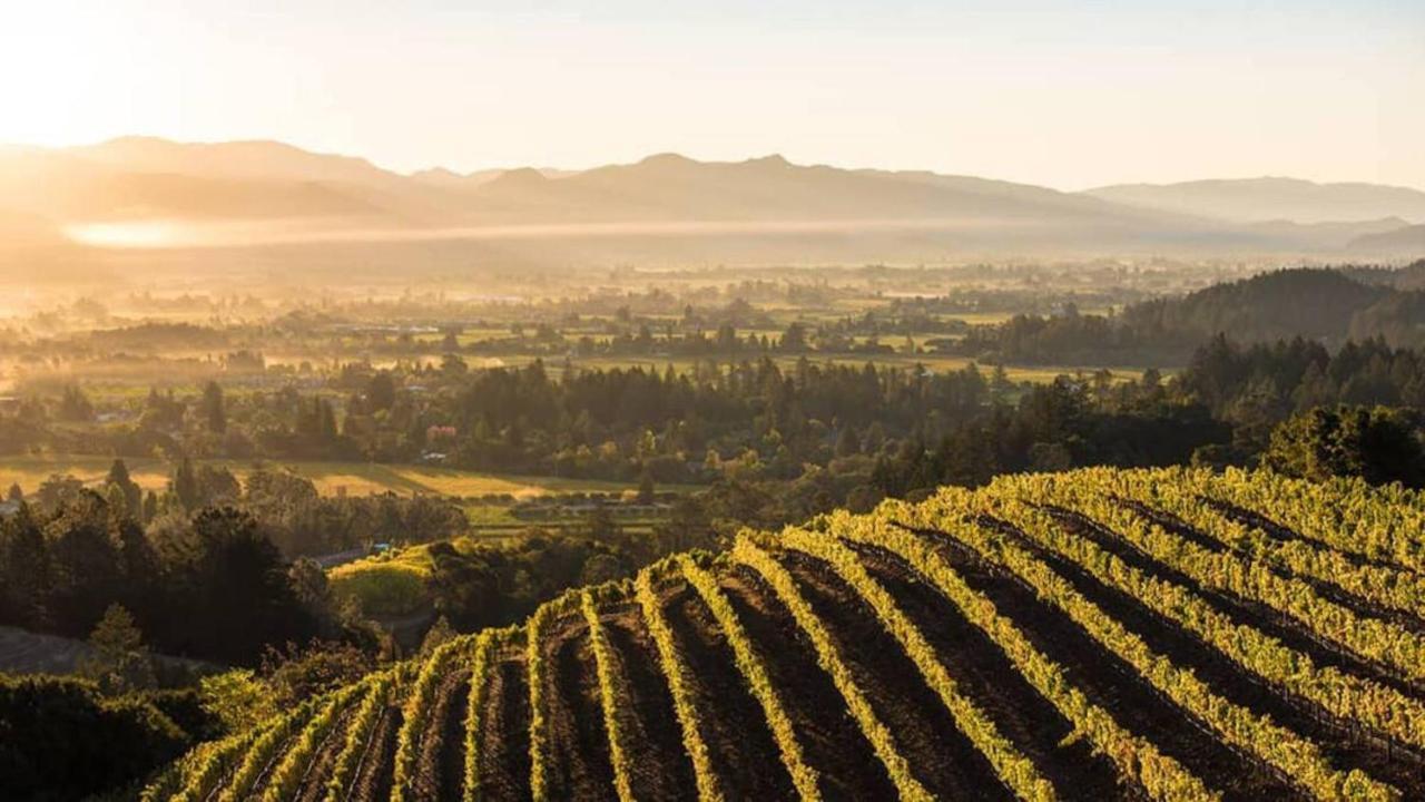 Floor, 40% Off, Silverado, Netflix * Napa