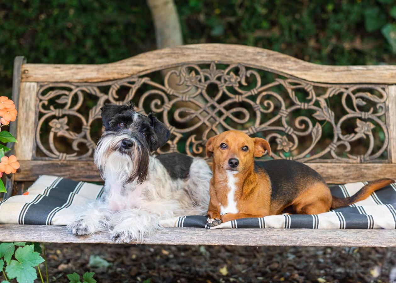 The On First Bed & Breakfast Napa