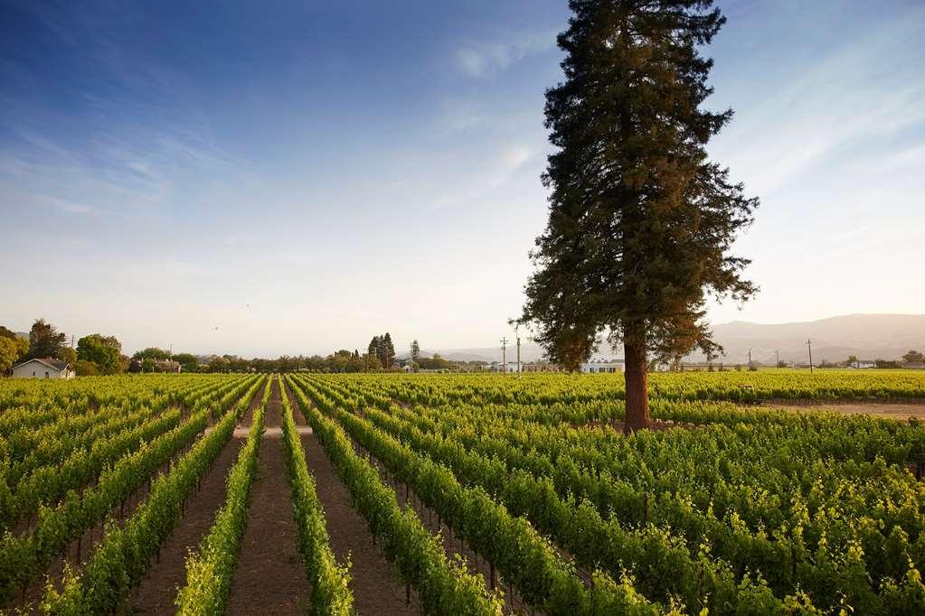 Inn Senza Napa