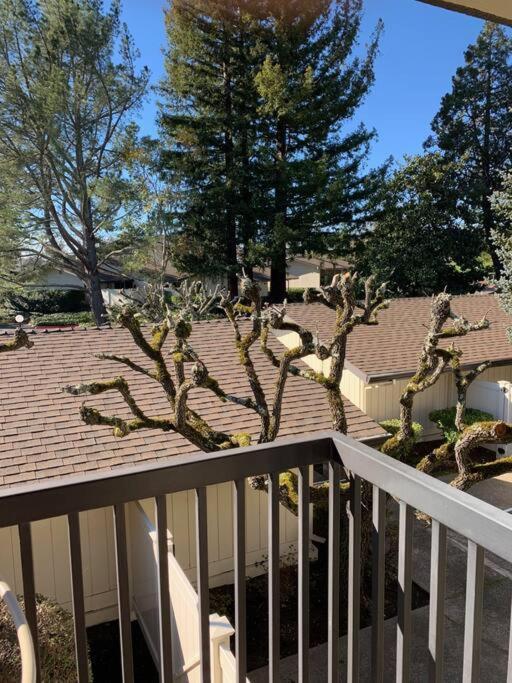 Apartment Dream In Napa